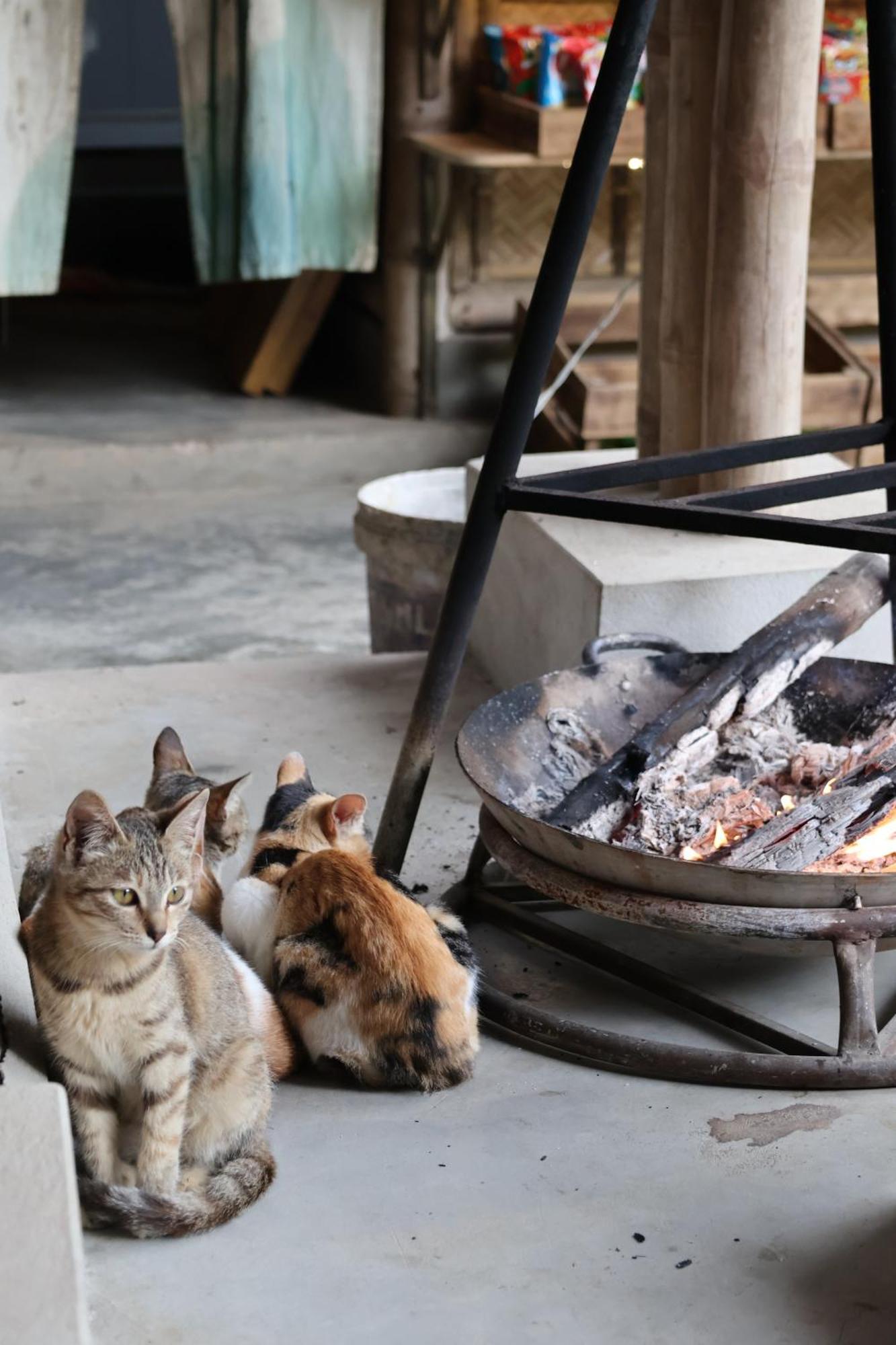 Dinh Gia Trang - Homestay & Coffee The Ruong 외부 사진