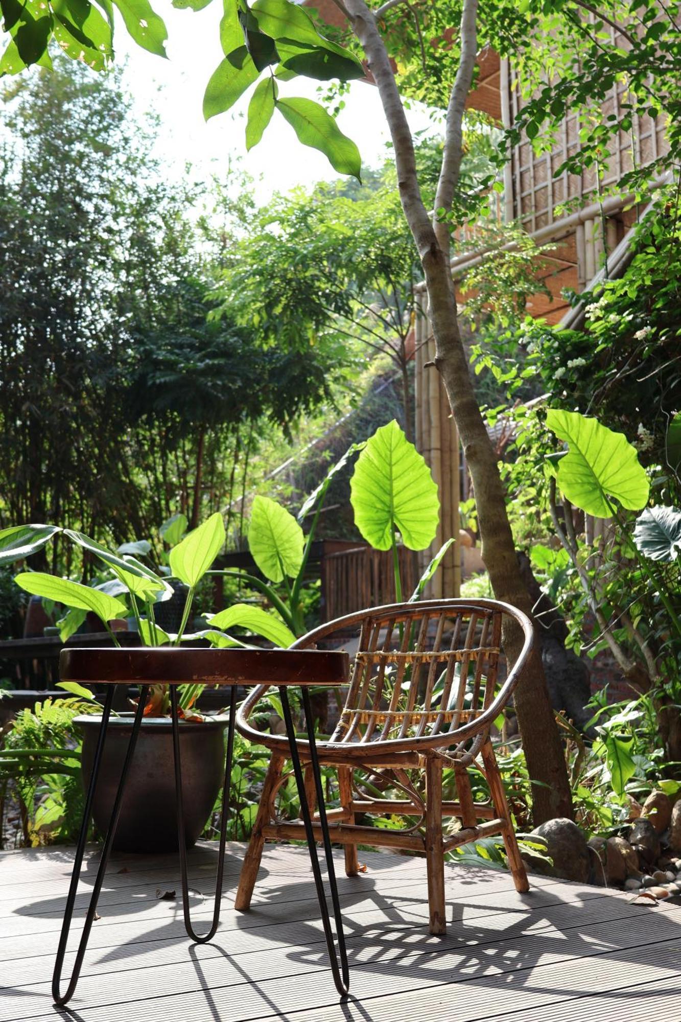 Dinh Gia Trang - Homestay & Coffee The Ruong 외부 사진