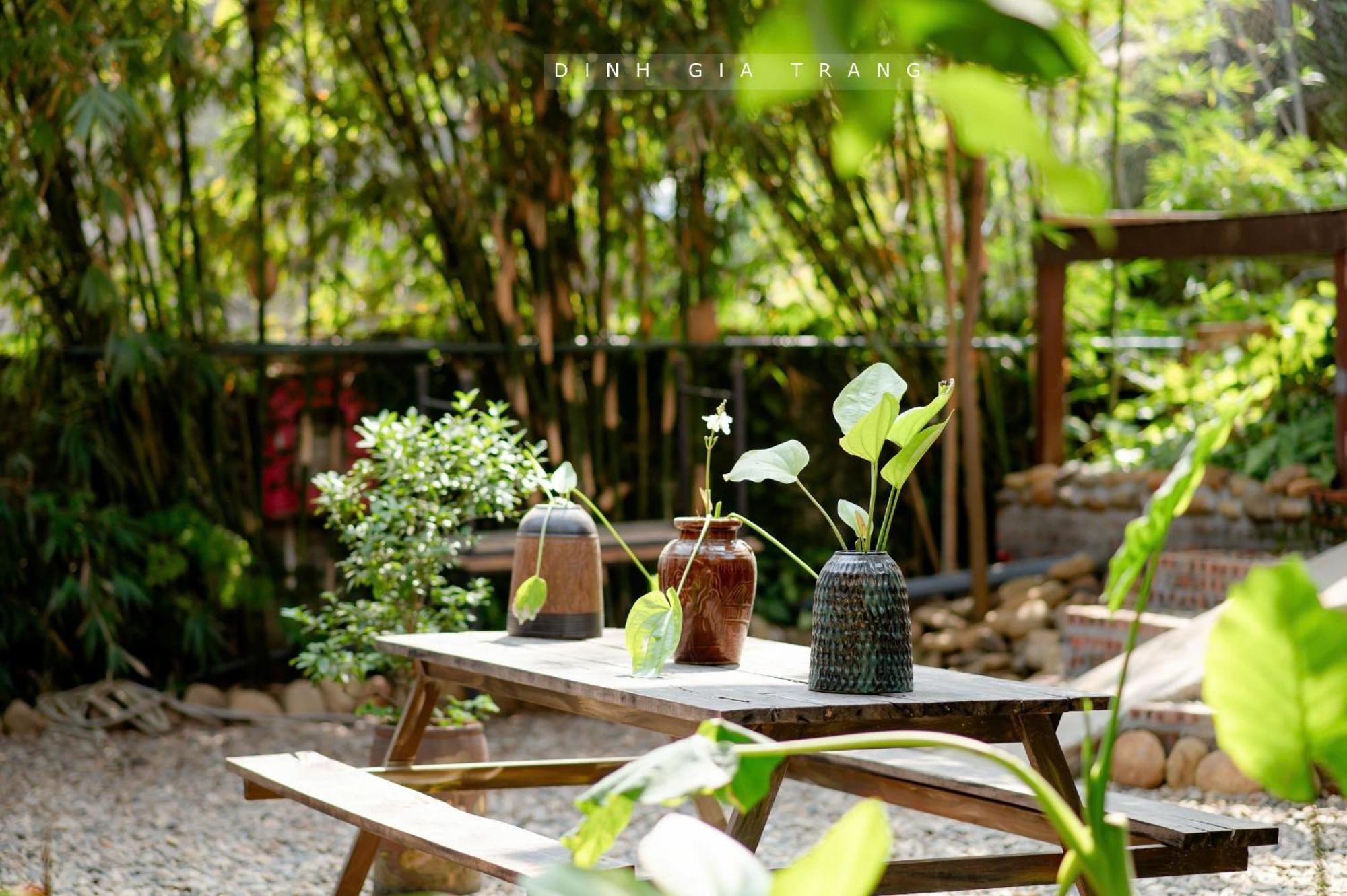 Dinh Gia Trang - Homestay & Coffee The Ruong 외부 사진