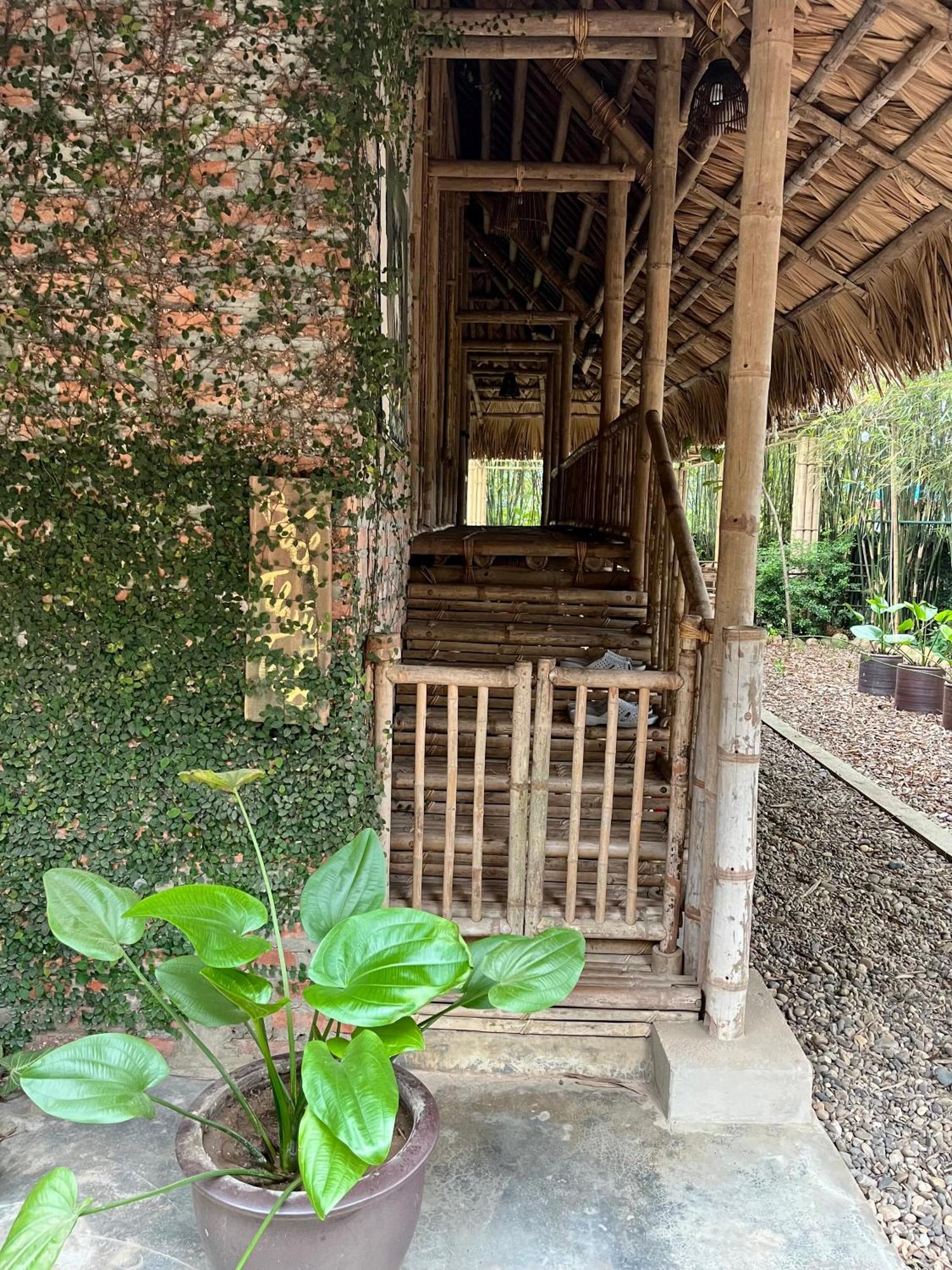 Dinh Gia Trang - Homestay & Coffee The Ruong 외부 사진